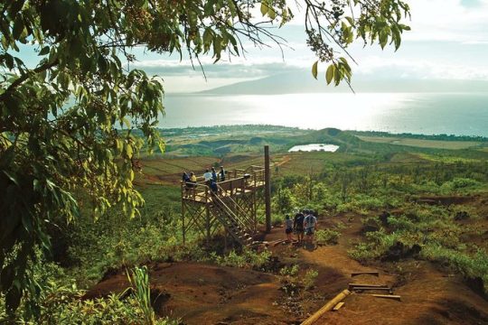 8 Line Ka'anapali Zipline Adventure on Maui