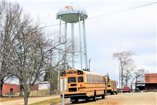 Private Stranger Things "The Upside Down" Film Locations Tour in Atlanta