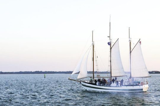 Afternoon Schooner Sightseeing Dolphin Cruise on Charleston Harbor