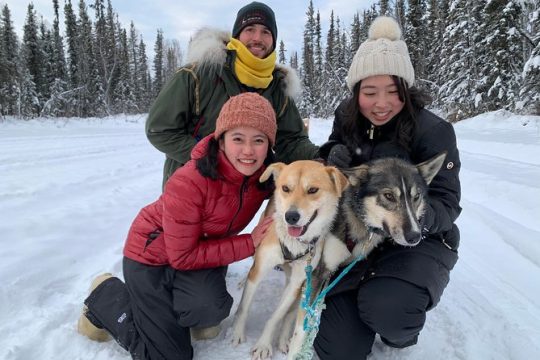 Dog Sledding and Mushing Experience in North Pole