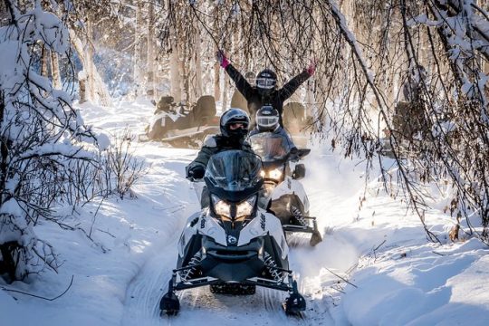 Guided Fairbanks Snowmobile Tour