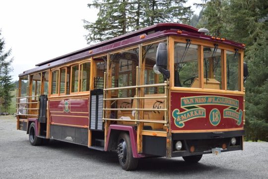 Totems, City & Wildlife by Cable Car Trolley