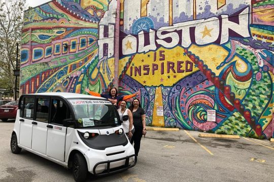 Private Houston Mural Instagram Tour by Cart