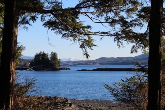 Photo Safari in Ketchikan, Alaska. Spend 3 hrs "off the tourist beaten path". 