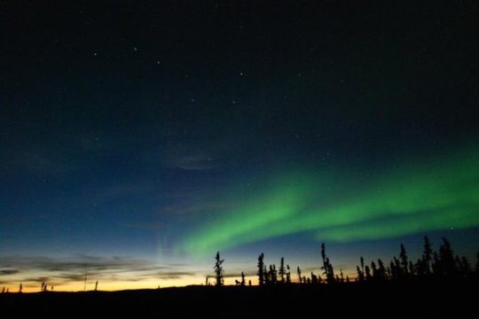 Northern Lights Experience and Cabin Dinner