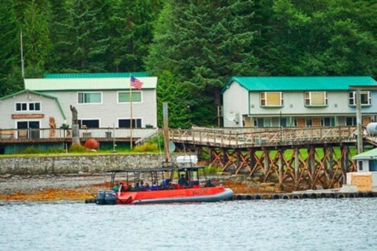 Ketchikan Shore Excursion: Silverking Lodge Adventure & Seafeast