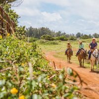 Horseback Riding