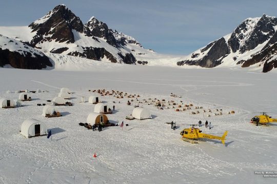 Juneau Shore Excursions: Juneau Helicopter Tour & Dogsledding Experience