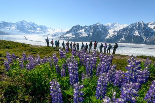 Alaska Heli Hiking - ANCHORAGE AREA