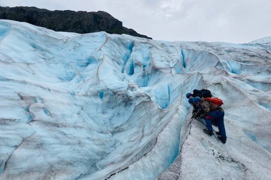 Exit Glacier Ice Hiking Adventure from Seward