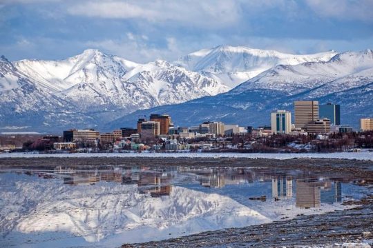 Anchorage Scavenger Hunt: Mushing Through Anchorage