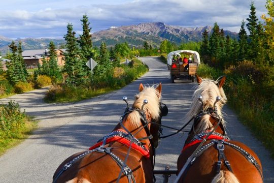 Horse-Drawn Covered Wagon Ride with Backcountry Dining