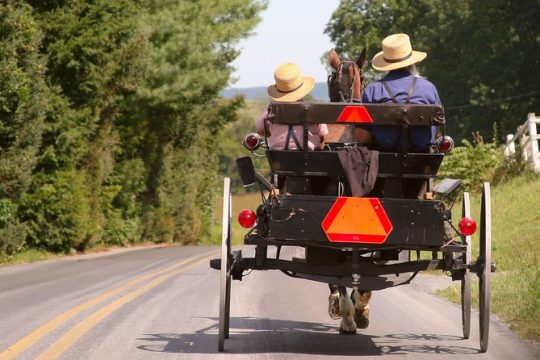 Premium Amish Country Tour including Amish Farm and House