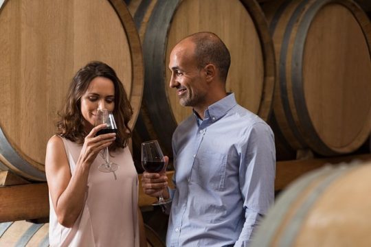 Half Day Wine Country Experience, Including All Tasting Fees