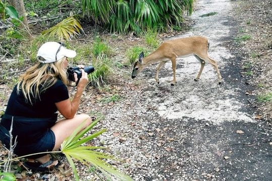 Full-Day Tour of Florida Keys Including Aquarium Encounters from Key West