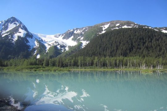 Turnagain Arm Tour: "A Must See Destination"