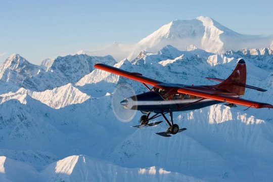 Grand Denali Flightseeing tour from Talkeetna