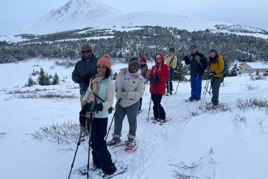 Winter Snowshoeing Adventure