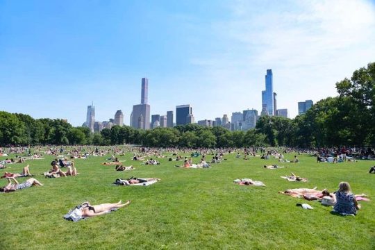 Central Park Guided Walking Tour in French