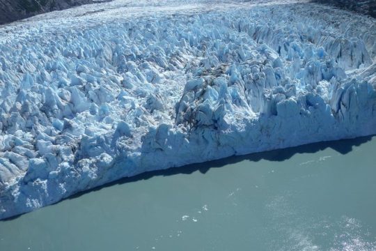 Glacier & Wildlife Discovery Tour