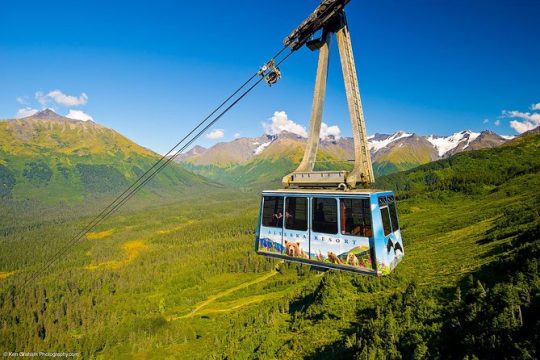 Alaska Crafted Tour and Cruise Transfer- Port of Seward