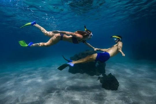 Turtle Town Snorkel with Photo and Video