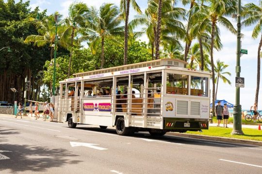 Waikiki Trolley Hop-On Hop-Off Tour of Honolulu