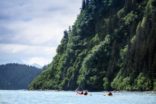 Tonsina Point Kayak and Exploration