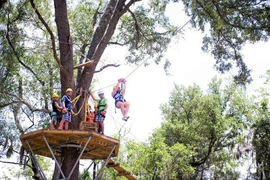 Treetop Express Zip Line Tour with 5 Zip Line Flights & 2 Sky Bridges Included