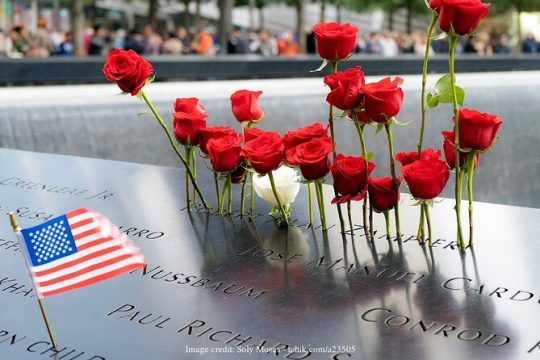 NYC in a day: Private Walking Tour with the Statue of Liberty