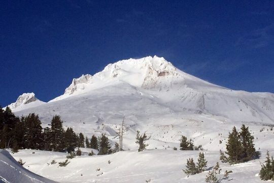 Private Mt Hood Waterfall Tour with Lunch and Wine Tasting