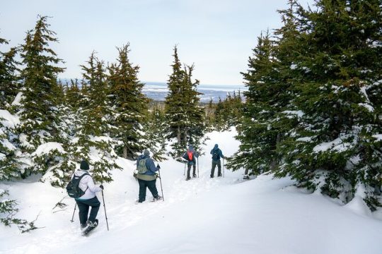 Advanced Snowshoeing Adventure