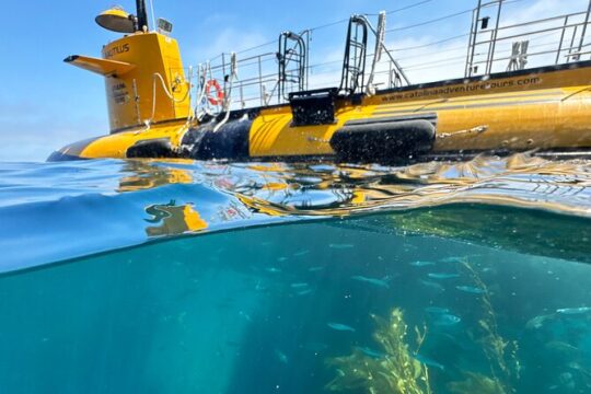 45 Minute Semi-Submarine Tour of Catalina Island From Avalon