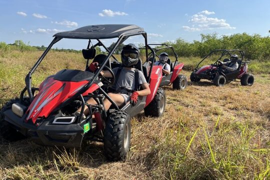 Houston Dune Buggy Adventure