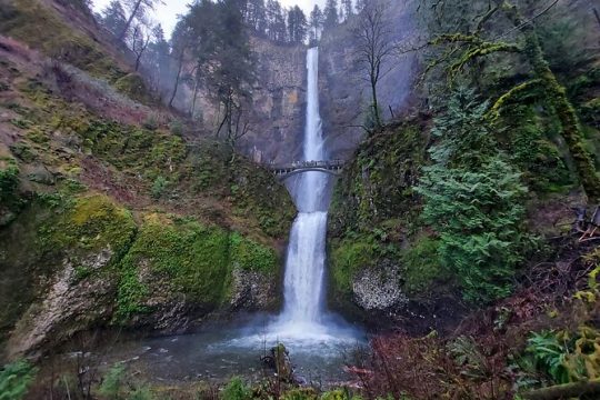 Private Columbia River Gorge Half-Day Tour