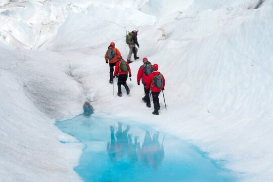 Afternoon Wilderness, Wildlife, Glacier Experience from Anchorage