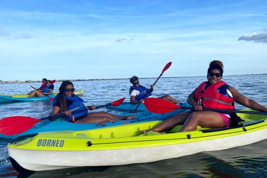 Guided Kayak Excursion Rehoboth Back Bay