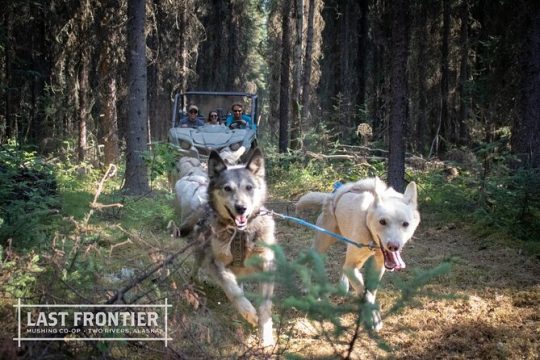 Summer Mushing Cart Ride & Kennel Tour