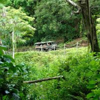 4WD, ATV & Off-Road Tours