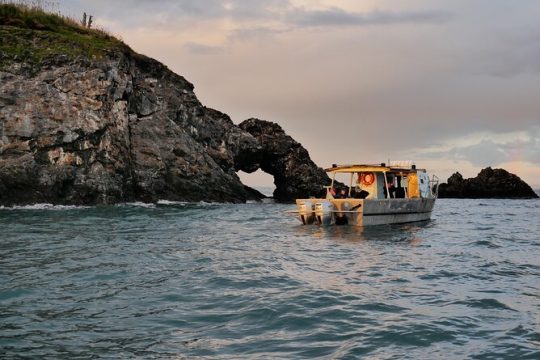 Kachemak Bay Wildlife Tour