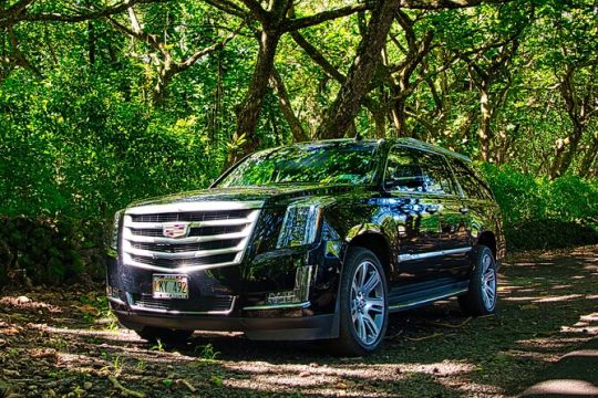 Private Escalade Halfway to Hana Tour - Half Day