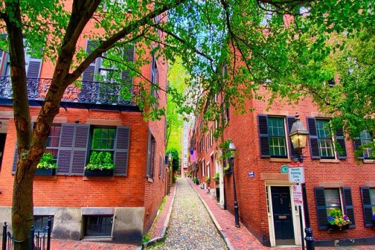 Beacon Hill, Public Garden, Back Bay History + Photo Walking Tour(Small Group)