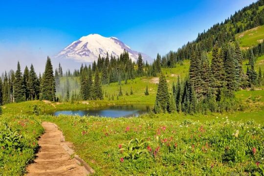 Private Mt Rainier National Park Tour in SUV