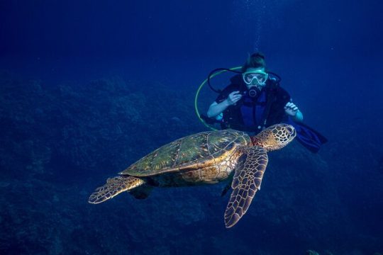 Discover Scuba Diving Class - Lahaina