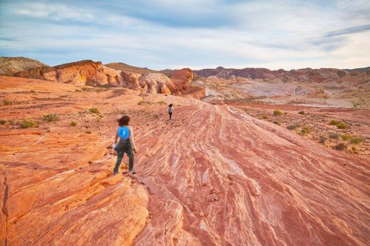 1 Day Tour at Valley of Fire and Zion Park