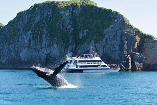 Full-Day Kenai Fjords National Park Cruise