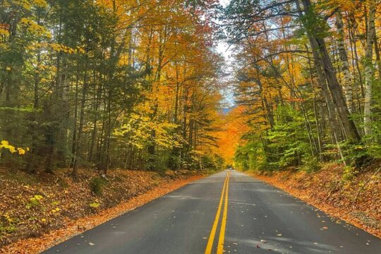 New Hampshire White Mountains Autumn Foliage Tour from Portland