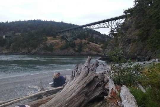 Deception Pass Bridge Island Tour from Seattle