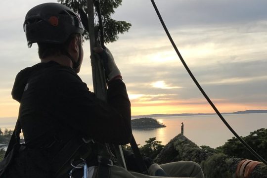 Sunset Canopy Climb on Lopez Island