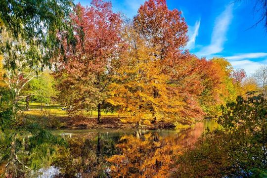 Half-Day Private Walking Tour of Central Park